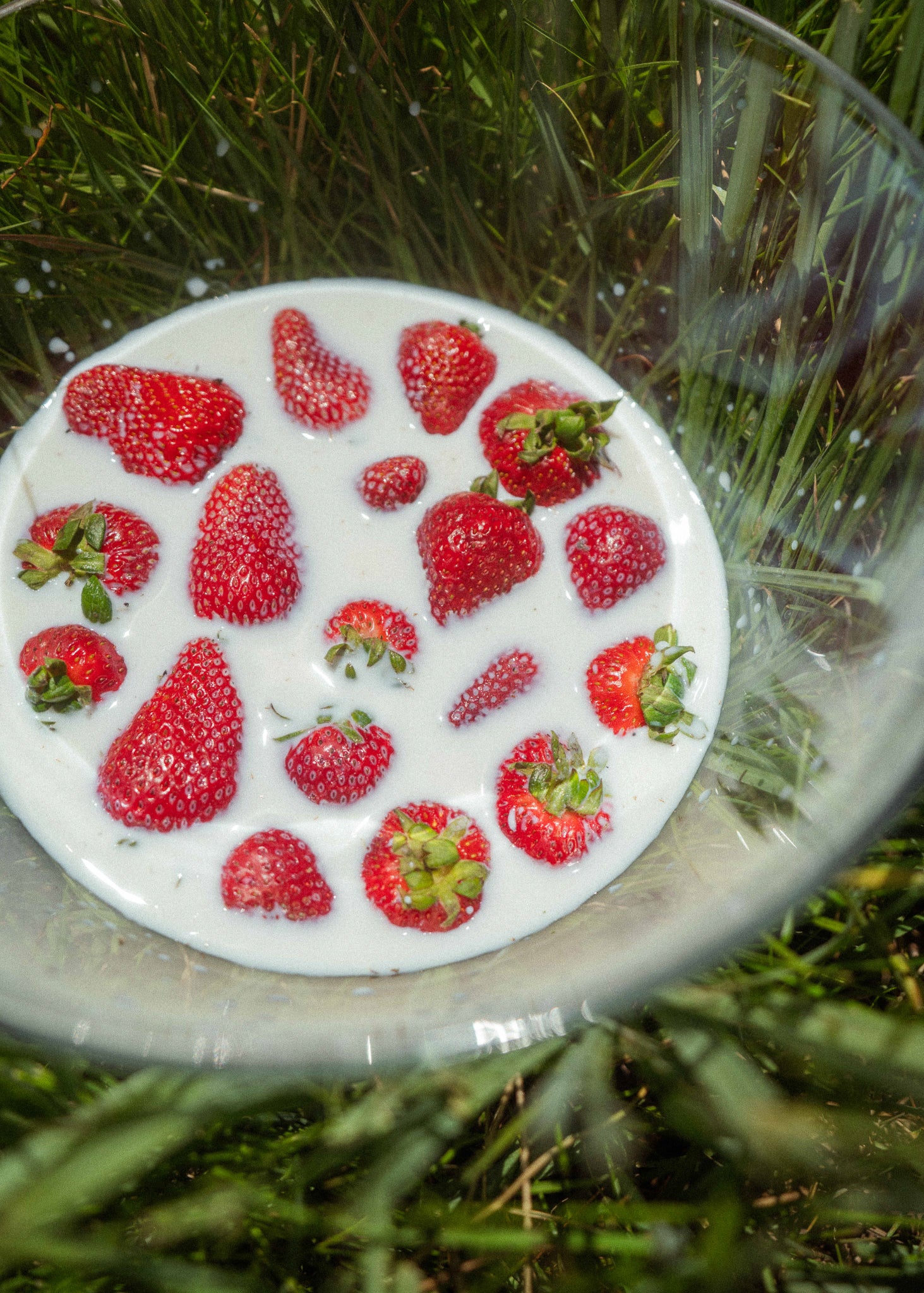 Farmer Protein Powder - Image 9