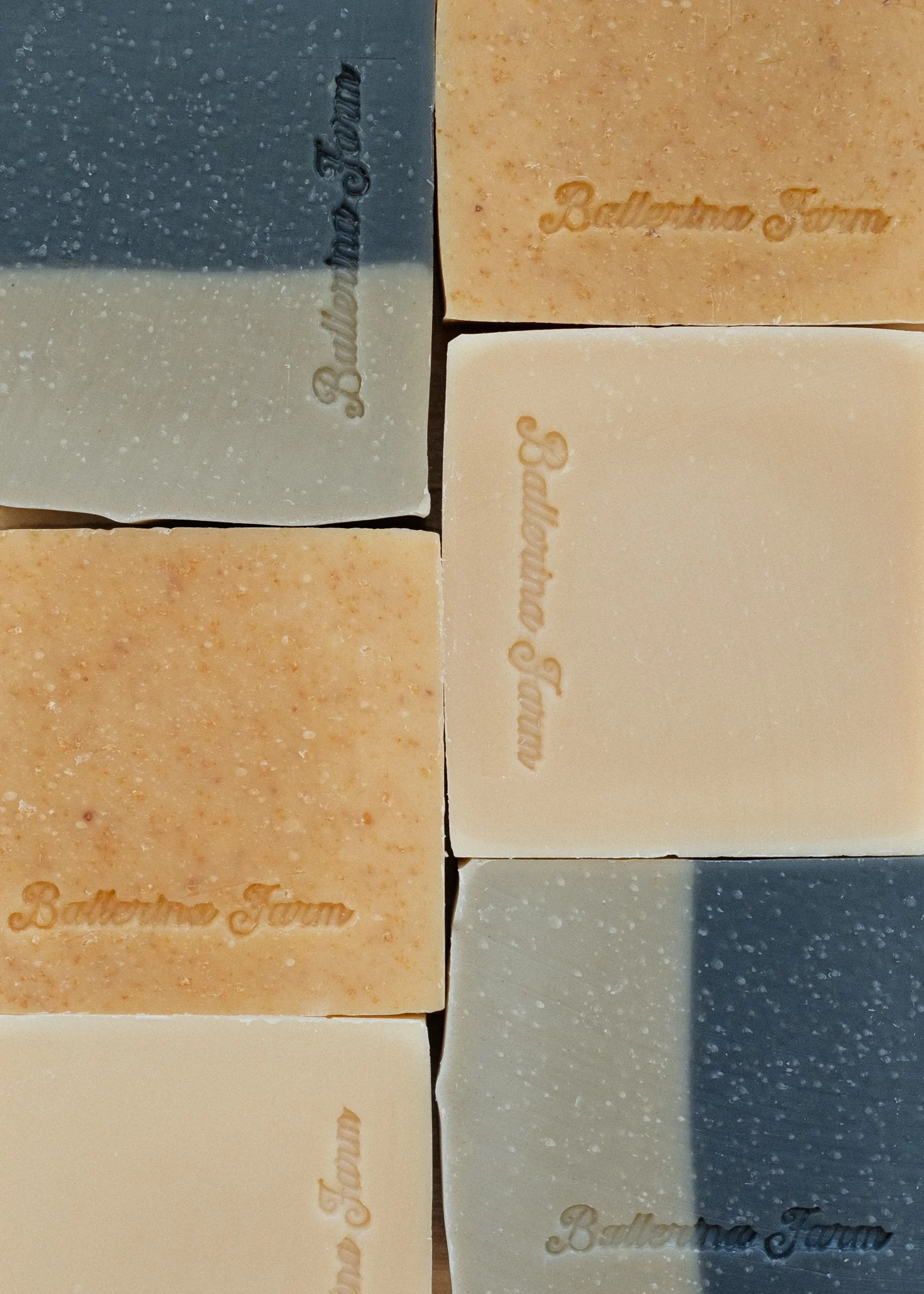 Hand & Body Soap - Image 3