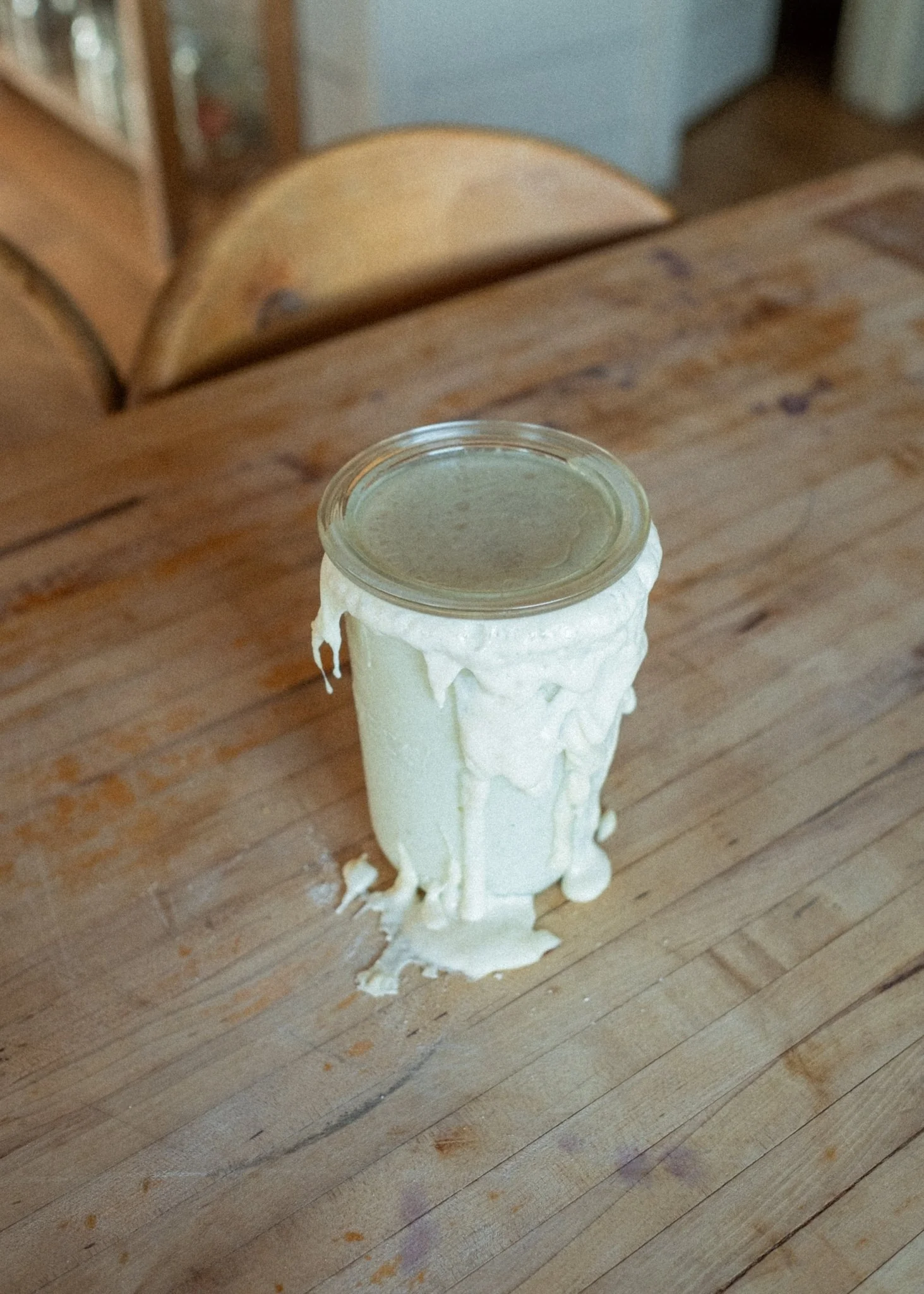 Willa Sourdough Starter - Image 4